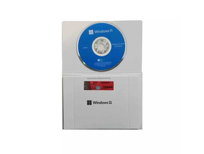 Microsoft Système d\'exploitation Windows 11 Home OEM Package avec DVD