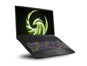 Ajouter au panier Laptop MSI Bravo 17-002XES AMD R7/16GB/1TB/RX5500M/17.3'' Laptop MSI Bravo 17-002XES AMD R7/16GB/1TB/RX5500M/17.3''