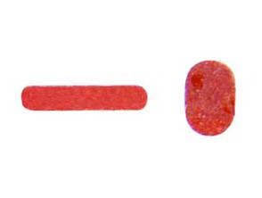 Jeu d'autocollants Capteur d'eau - iPhone 7