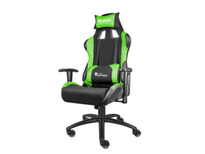 Ajouter au panier Président De Jeu Genèse Nitro 550 Noir/Vert Président De Jeu Genèse Nitro 550 Noir/Vert