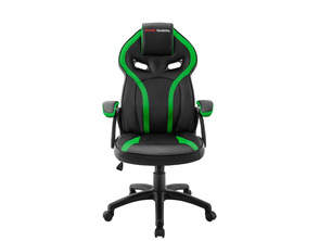 Ajouter au panier Président de Jeu Mars Jeu MGC118 Noir/Vert Président de Jeu Mars Jeu MGC118 Noir/Vert