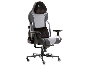 Ajouter au panier Silla Gaming Newskill Banshee Tela Gris Silla Gaming Newskill Banshee Tela Gris