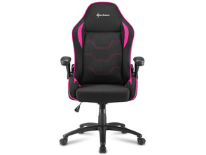 Ajouter au panier Silla Gaming Sharkoon Elbrus 1 Negro / Rosa 160G Silla Gaming Sharkoon Elbrus 1 Negro / Rosa 160G