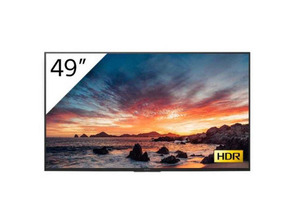 Téléviseur Sony Bravia FWD-49X81H/T1 49''4K