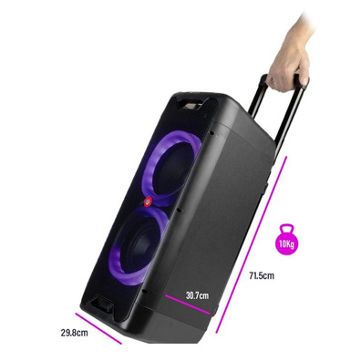 Altavoz Portátil NGS Wild Jungle 2 Bluetooth 300W
