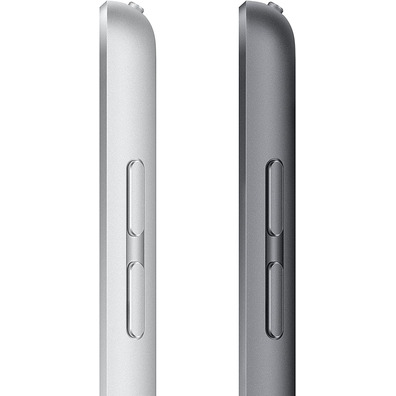 Apple iPad 10.2 2021 9e WiFi 64 Go Gris Espacial MK2K3TY/A