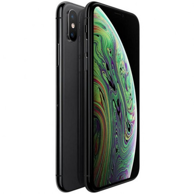 Apple iPhone XS Max 64 go Gris de l'Espace