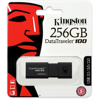 Kingston DataTraveler DT100G3 USB 3.0 256 Go