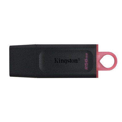 Kingston DataTraveler Exodia USB 3,2 256 Go
