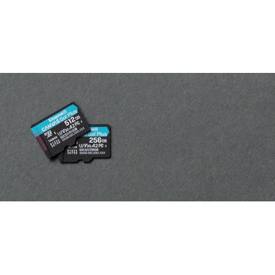 Memoria MicroSD Kingston 256 Go MicroSD Clase 10 UHS-I