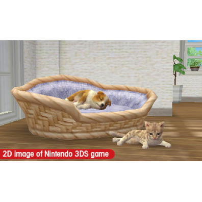 Nintendogs + Cats: Caniche (Classics) 3DS