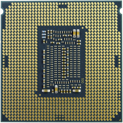 Procesador Intel Celeron G6925 3.6 Ghz 1200