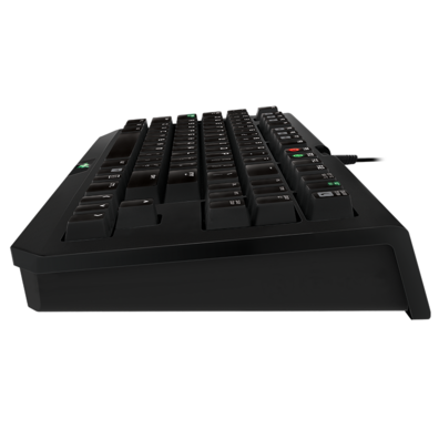 Razer Blackwidow Tournament Ed 2014 - US