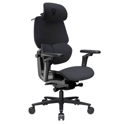 TX3 (ThunderX3) Chaise de jeu ergonomique FLEX Pour Lofo Gris foncé