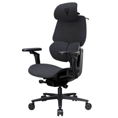 TX3 (ThunderX3) Chaise de jeu ergonomique FLEX Pour Lofo Gris foncé