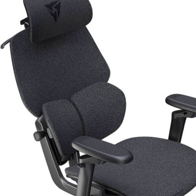 TX3 (ThunderX3) Chaise de jeu ergonomique FLEX Pour Lofo Gris foncé