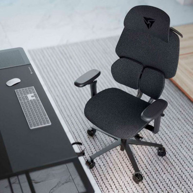 TX3 (ThunderX3) Chaise de jeu ergonomique FLEX Pour Lofo Gris foncé