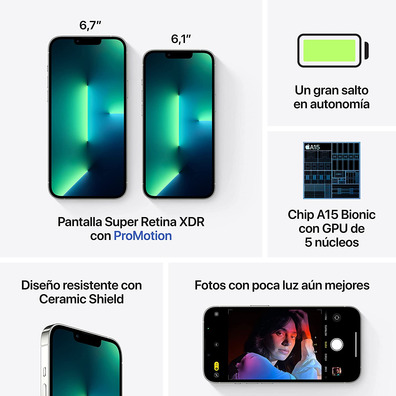 Smartphone Apple iPhone 13 Pro Max 1To 6,7 " 5G Plata