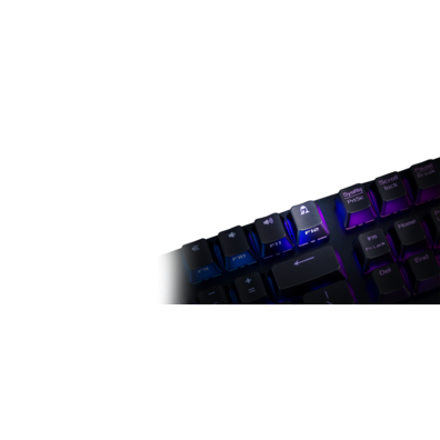 Clavier de Jeu ASUS ROG Strix Étendue RVB