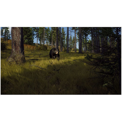 Way of the Hunter Xbox Series X