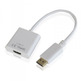 Port d\'affichage de l\'adaptateur vers Hdmi Approx