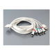 Câble composants pour iPhone/iPad/iPod
