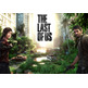 Playstation 3 (500 GB) + The Last of Us