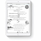 Apple iPad 10.2 2019 32 GO Argent Wifi MW6C2TY/A