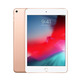 Apple iPad Mini 5 Wifi 256 GO OR MUU62TY/A
