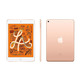 Apple iPad Mini 5 Wifi 256 GO OR MUU62TY/A