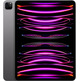 Apple iPad Pro 11''2022 Wifi 1TB Space Grey MNXW3TY/A
