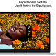 Apple Macbook Neo (2026) 13" A18 Pro 8 Go RAM 256 Go SSD Argent