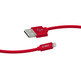 Câble de données et de chargement Lightning, Collection Polo Rouge