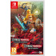 Les guerriers d\'Hyrule : L\'âge du cataclysme de commutation