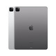 IPad Pro 2022 12,9''M2 2 To Wi-Fi + Gris espacial