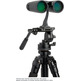 Jumelles Celestron Outland X 10x42 Noir