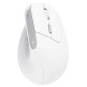 Inhalamber vertical Mouse Trust Bayo II Rechargeable 2400 DPI
