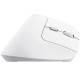 Inhalamber vertical Mouse Trust Bayo II Rechargeable 2400 DPI