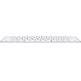 Teclado Inalámbrico Apple Magic Keyboard MK2A3Y/A Plata